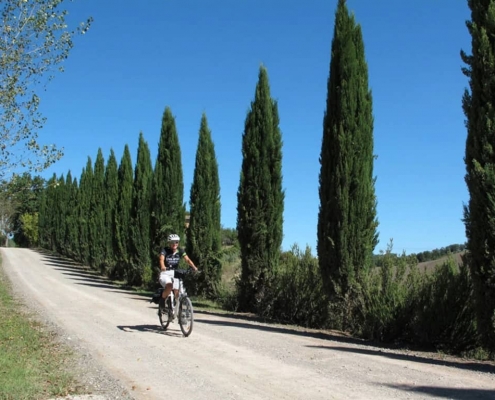 Itinerario in bici sulla Via Francigena